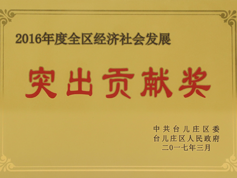臺兒莊區(qū)經(jīng)濟(jì)社會發(fā)展突出貢獻(xiàn)獎